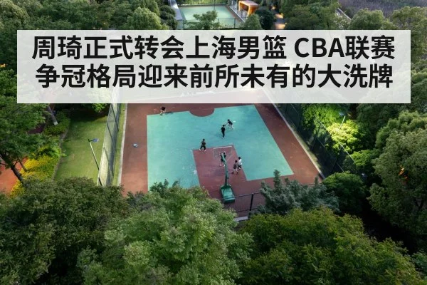 Chinese basketball player